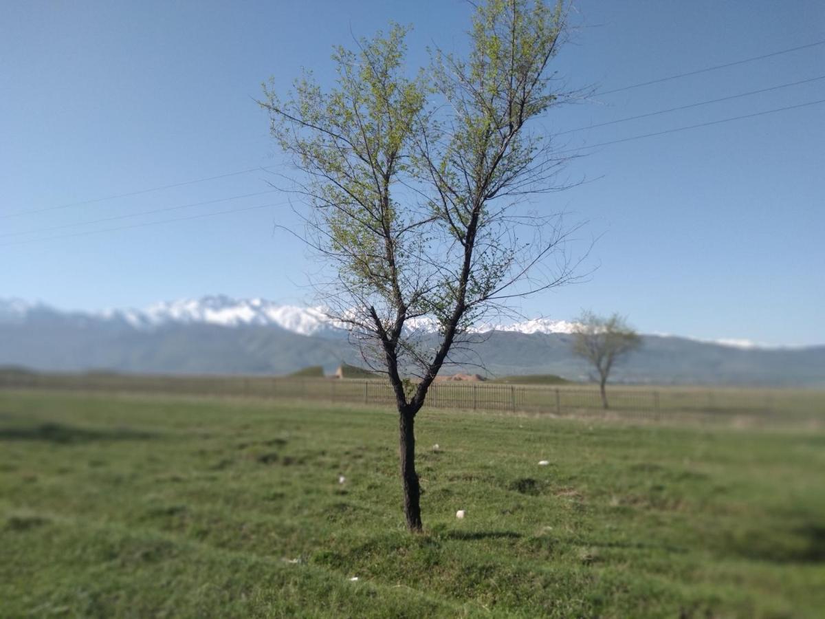 Уютный Ночлег Иссыкские Курганы Rahat Kültér fotó